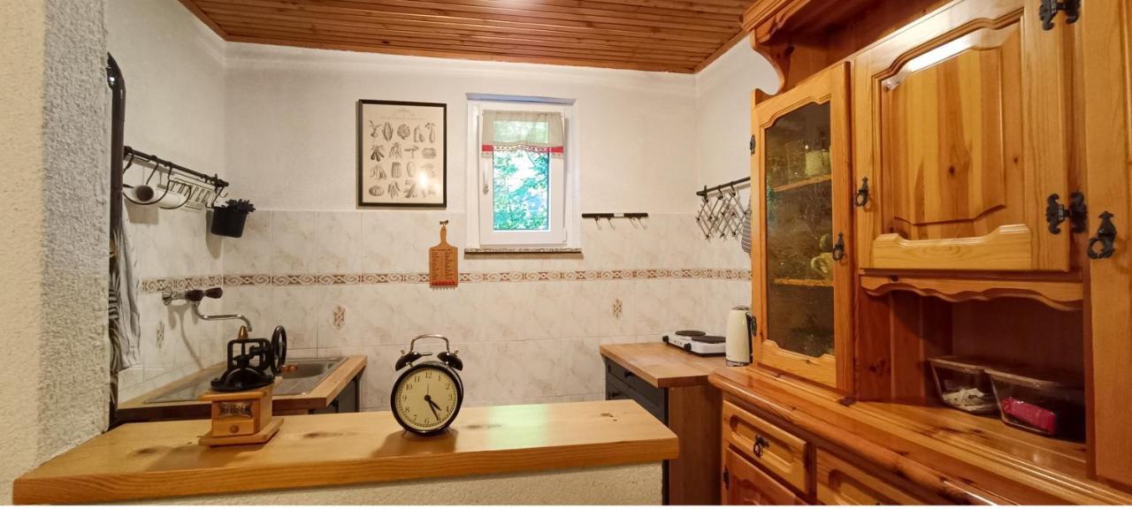 Koca Kresnica Villa Ilirska Bistrica Dış mekan fotoğraf