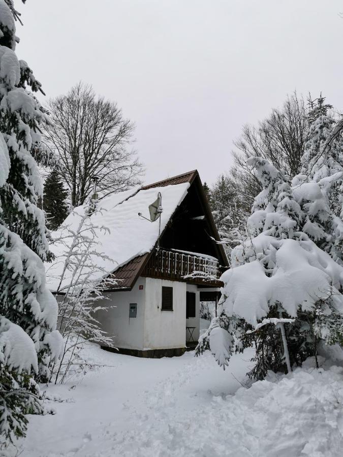 Koca Kresnica Villa Ilirska Bistrica Dış mekan fotoğraf