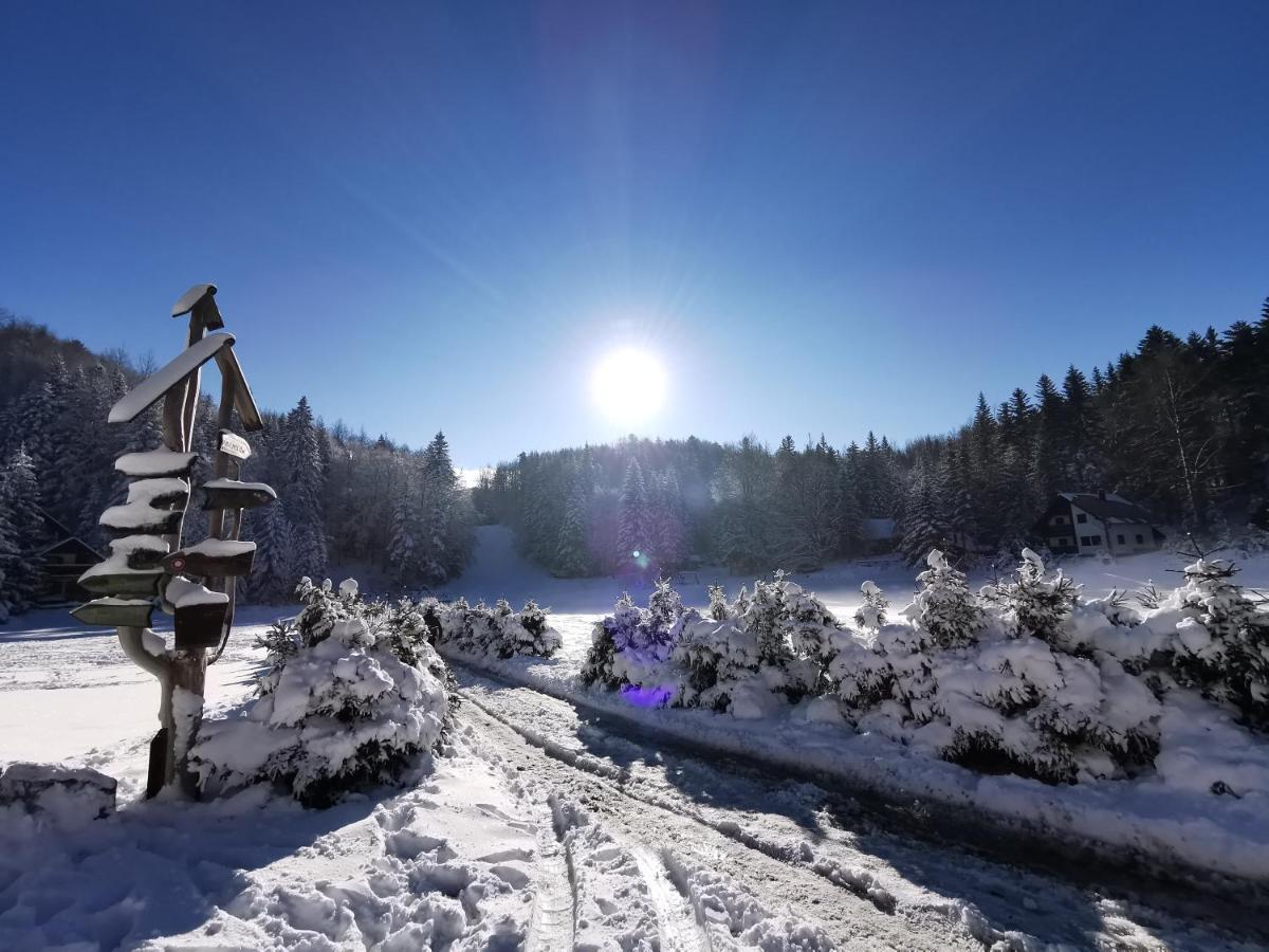 Koca Kresnica Villa Ilirska Bistrica Dış mekan fotoğraf