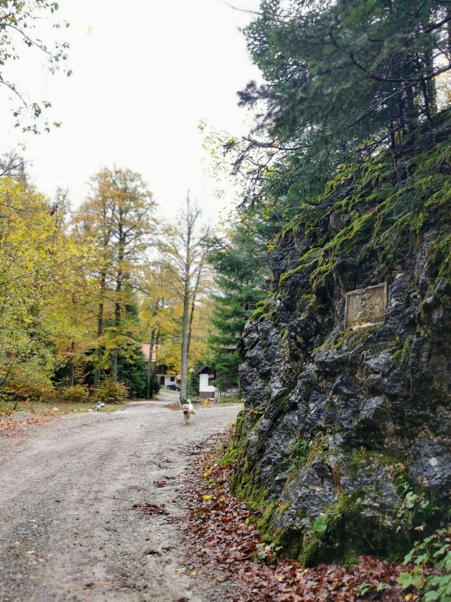 Koca Kresnica Villa Ilirska Bistrica Dış mekan fotoğraf
