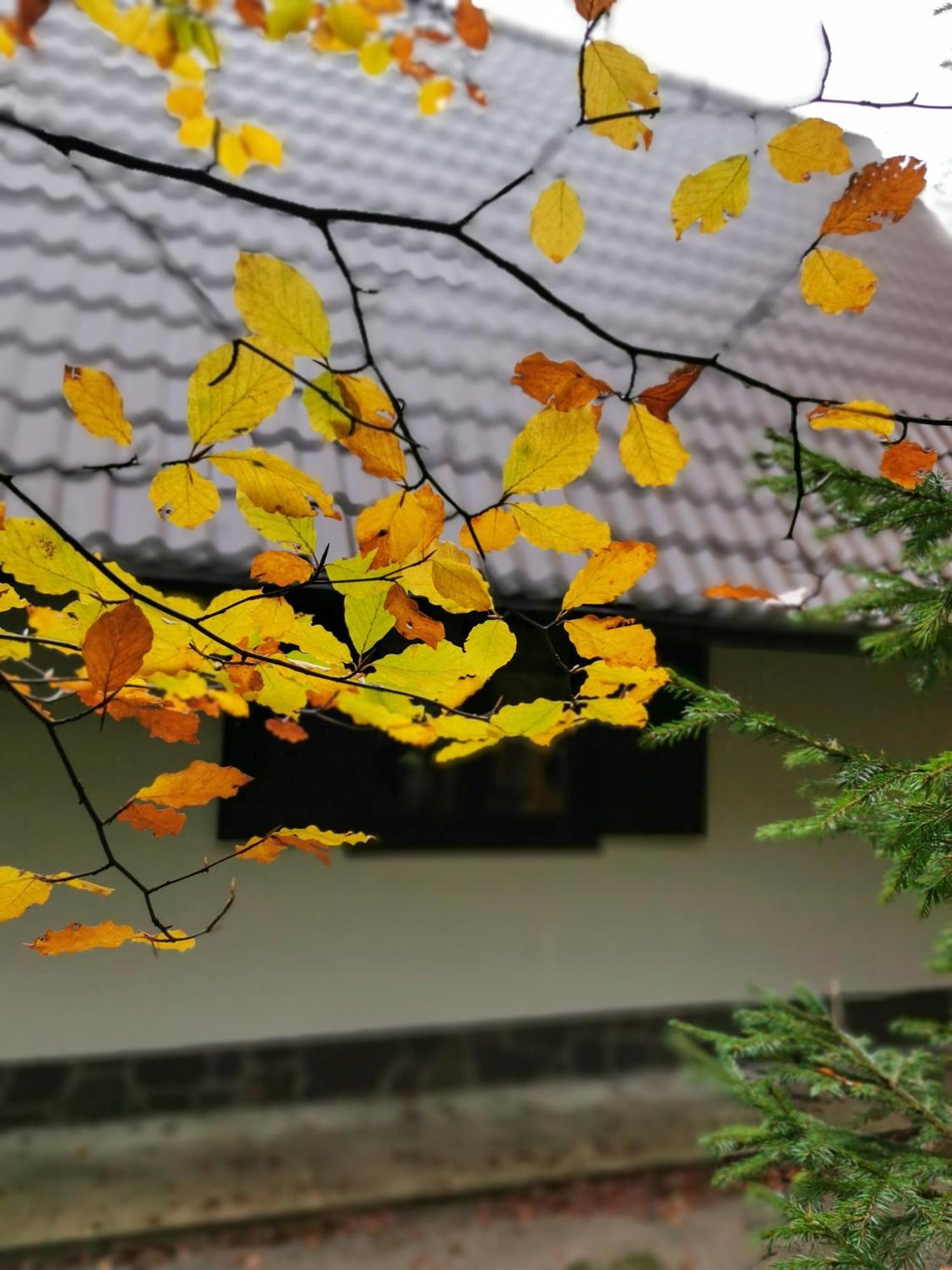 Koca Kresnica Villa Ilirska Bistrica Dış mekan fotoğraf