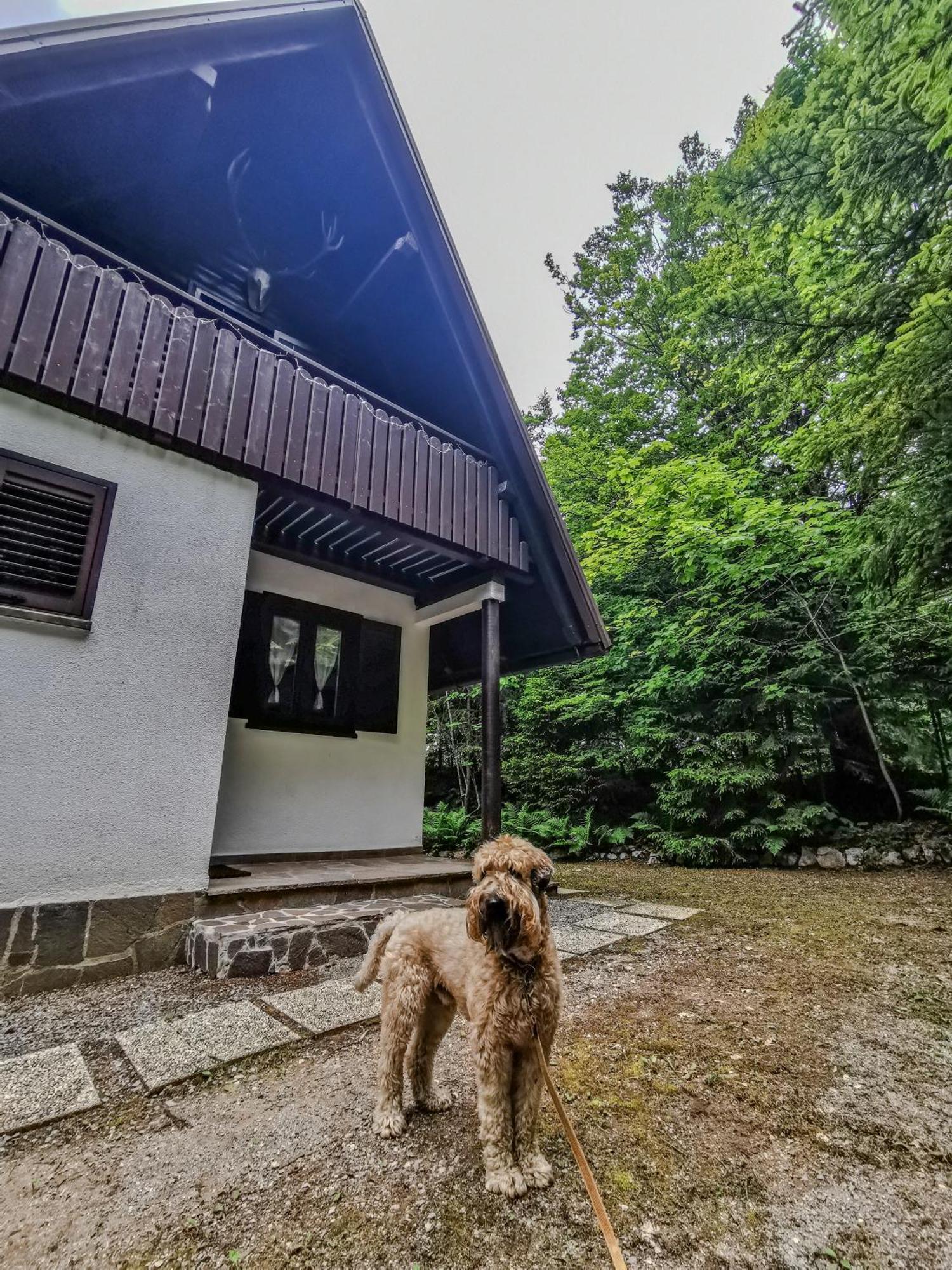Koca Kresnica Villa Ilirska Bistrica Dış mekan fotoğraf