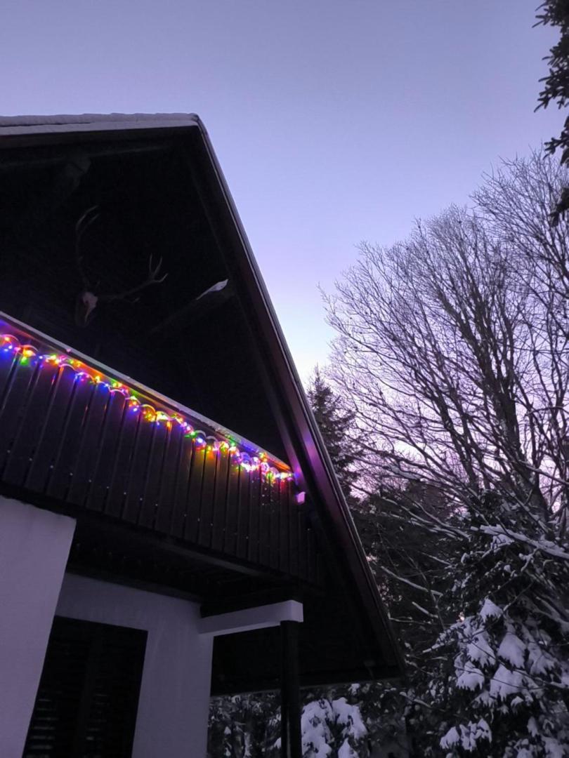 Koca Kresnica Villa Ilirska Bistrica Dış mekan fotoğraf